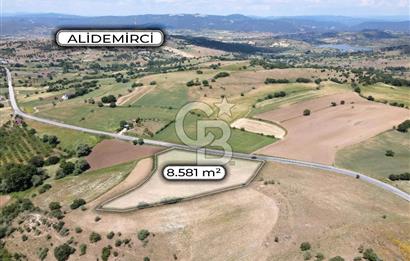 CB EAGLE'DAN NARLI'DA ASFALT YOLA CEPHE 8.581 m² SATILIK TARLA