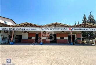 CB EAGLE'Dan 24 SAAT GÜVENLİKLİ KİRALIK 1.000 m² DEPO