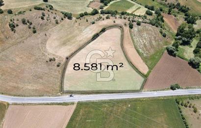 CB EAGLE'DAN NARLI'DA ASFALT YOLA CEPHE 8.581 m² SATILIK TARLA