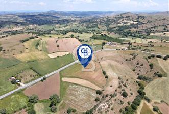 CB EAGLE'DAN NARLI'DA ASFALT YOLA CEPHE 8.581 m² SATILIK TARLA