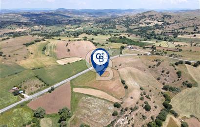CB EAGLE'DAN NARLI'DA ASFALT YOLA CEPHE 8.581 m² SATILIK TARLA