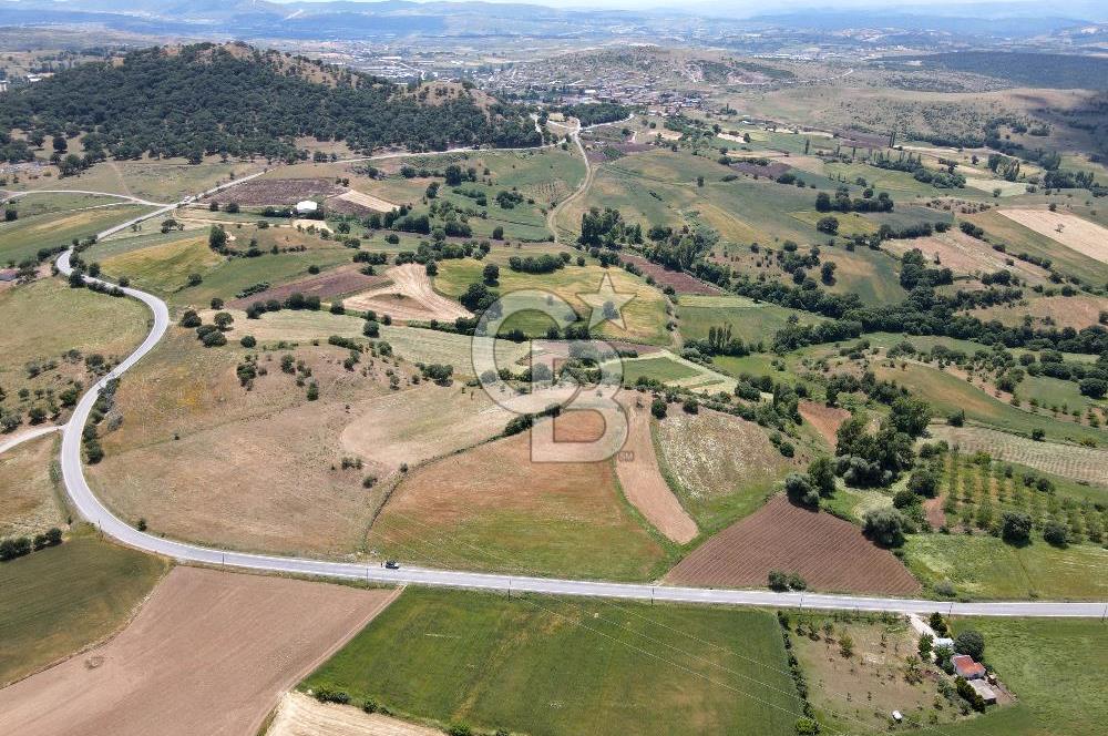 CB EAGLE'DAN NARLI'DA ASFALT YOLA CEPHE 8.581 m² SATILIK TARLA