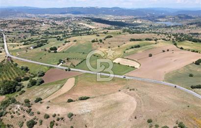 CB EAGLE'DAN NARLI'DA ASFALT YOLA CEPHE 8.581 m² SATILIK TARLA