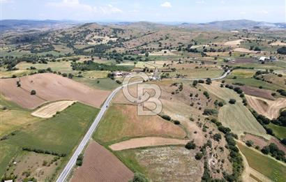 CB EAGLE'DAN NARLI'DA ASFALT YOLA CEPHE 8.581 m² SATILIK TARLA