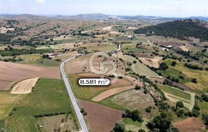 CB EAGLE'DAN NARLI'DA ASFALT YOLA CEPHE 8.581 m² SATILIK TARLA
