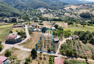 YALOVA ALTINOVA AKTOPRAK KÖYÜ 2 KAT İMARLI SATILIK ARSA!.3909 M2