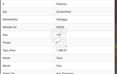 CB CITY’DEN KÜTAHYA ÇAVDARHİSAR GÖKAĞAÇ’DA SATILIK TARLA