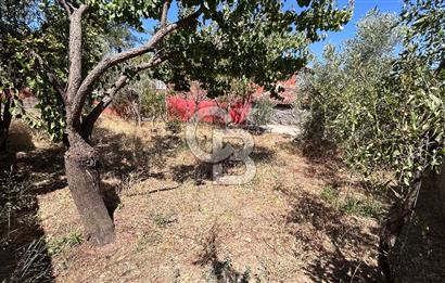 AŞAĞIKIZILCA’DA KİRALIK İKİ KATLI BAHÇELİ MÜSTAKİL EV
