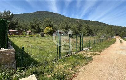 URLA ZEYTİNLER YEŞİLÇİZGİ SİTESİNDE YOL CEPHELİ SATILIK ARSA