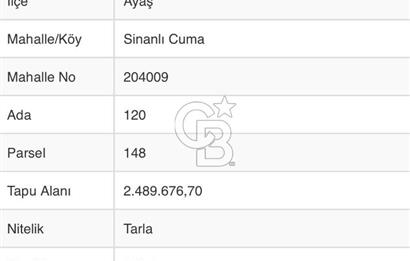 YATIRIMLIK AYAŞ SİNANLI CUMA MAH SATILIK TARLA 