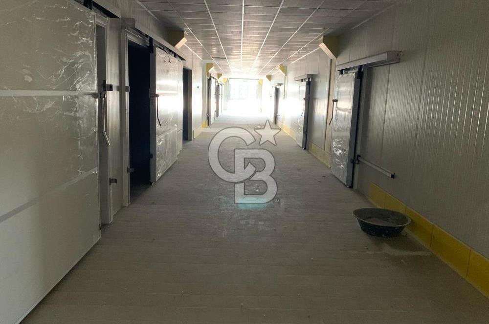 POLATLI TİCARET ODASI OSB'DE SATLIK FABRİKA