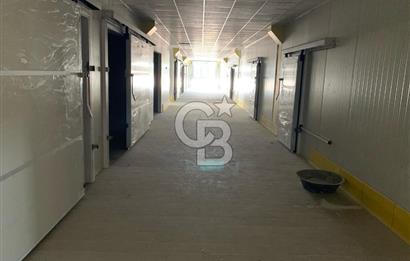 POLATLI TİCARET ODASI OSB'DE SATLIK FABRİKA