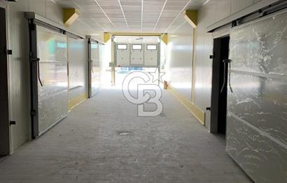 POLATLI TİCARET ODASI OSB'DE SATLIK FABRİKA