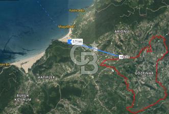 Bartın Mugada Plajına 2.5 km uzaklıkta tek tapu tarla