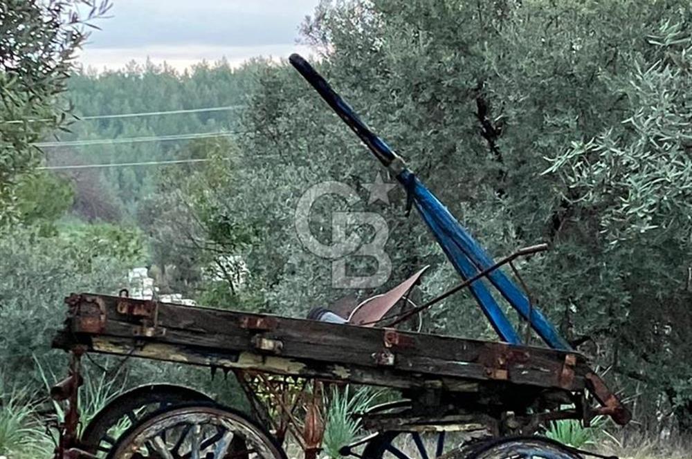 ANTALYA AKSU KURŞUNLUDA 6013 M2 ARAZİ İÇİNDE SATILIK MÜSTAKİL EV