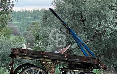 ANTALYA AKSU KURŞUNLUDA 6013 M2 ARAZİ İÇİNDE SATILIK MÜSTAKİL EV