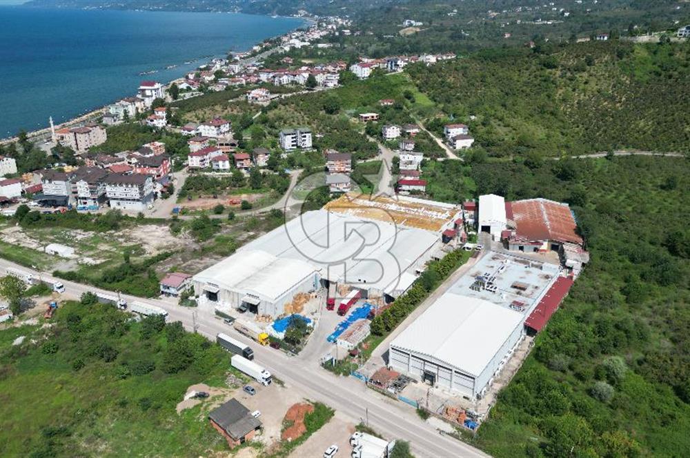 BOLAMAN'DA LİMANA YAKIN KİRA GETİRİLİ 12.871 M2 SATILIK FABRİKA