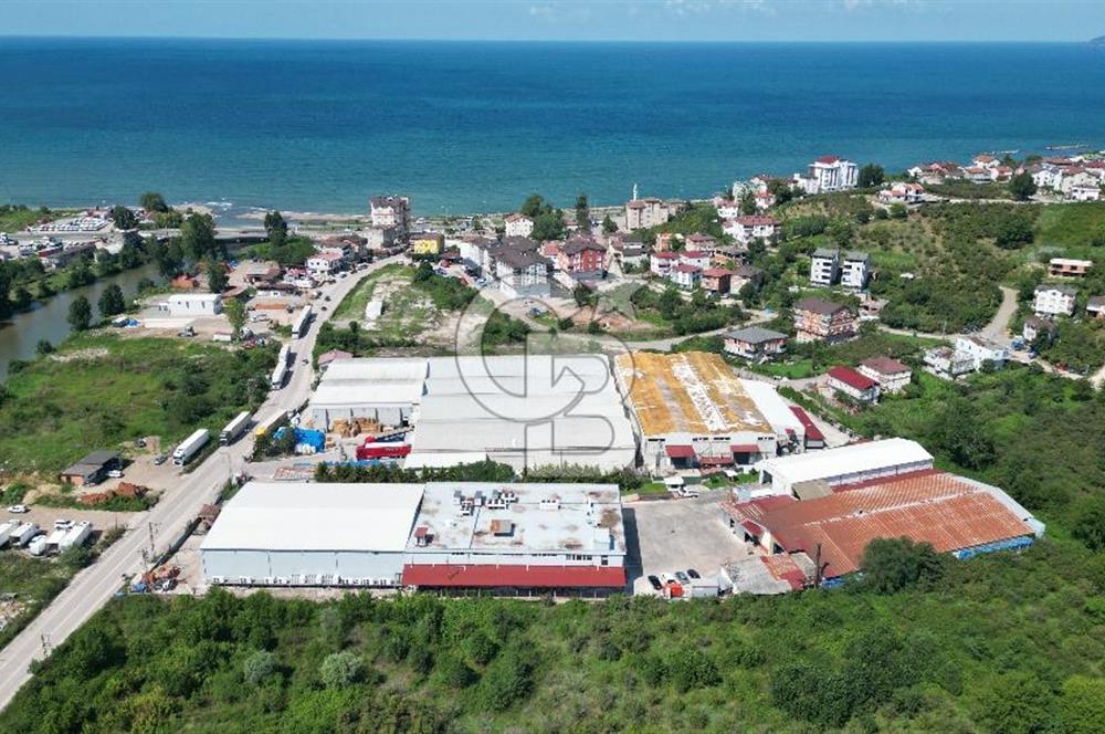 BOLAMAN'DA LİMANA YAKIN KİRA GETİRİLİ 12.871 M2 SATILIK FABRİKA