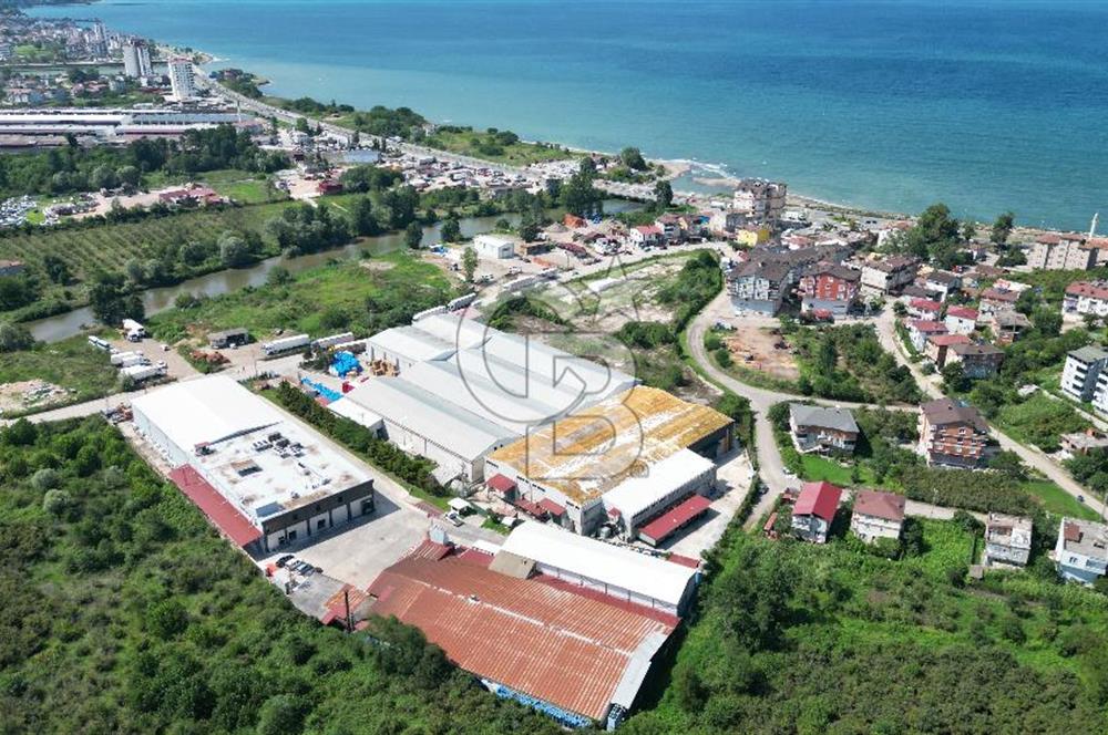 BOLAMAN'DA LİMANA YAKIN KİRA GETİRİLİ 12.871 M2 SATILIK FABRİKA