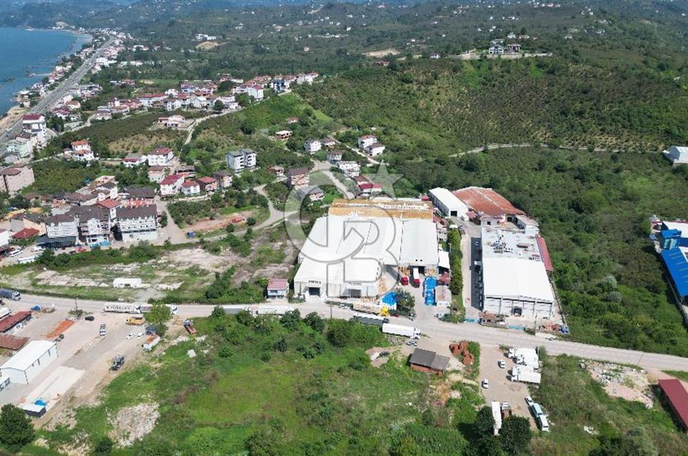BOLAMAN'DA LİMANA YAKIN KİRA GETİRİLİ 12.871 M2 SATILIK FABRİKA