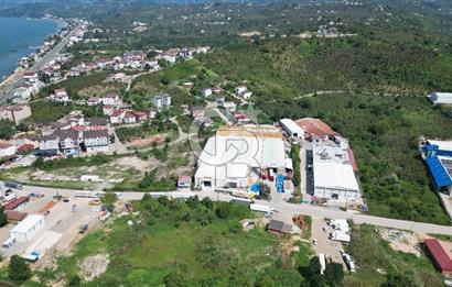 BOLAMAN'DA LİMANA YAKIN KİRA GETİRİLİ 12.871 M2 SATILIK FABRİKA