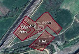CB CITY’DEN BİLECİK BAYIRKÖY’DE 15293 m2 SATILIK CEVİZ TARLASI