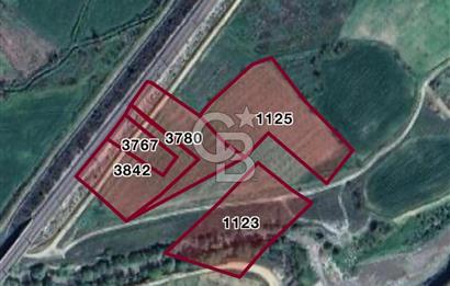 CB CITY’DEN BİLECİK BAYIRKÖY’DE 15293 m2 SATILIK CEVİZ TARLASI