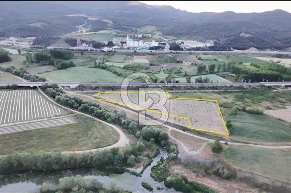 CB CITY’DEN BİLECİK BAYIRKÖY’DE 15293 m2 SATILIK CEVİZ TARLASI