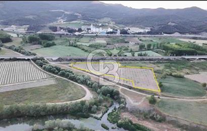 CB CITY’DEN BİLECİK BAYIRKÖY’DE 15293 m2 SATILIK CEVİZ TARLASI