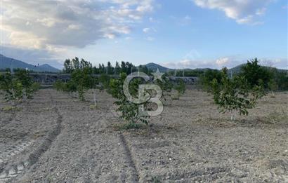 CB CITY’DEN BİLECİK BAYIRKÖY’DE 15293 m2 SATILIK CEVİZ TARLASI