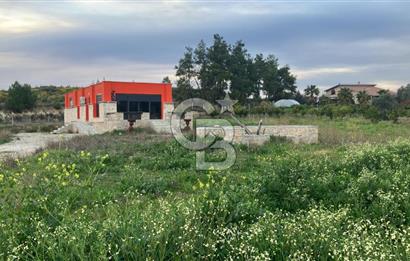 ANTALYA AKSU KURŞUNLUDA 6013 M2 ARAZİ İÇİNDE SATILIK MÜSTAKİL EV