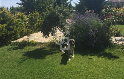 GÖLBAŞI TEPEYURT MAHALLESİ 500 M2 SATILIK HOBİ BAHÇESİ