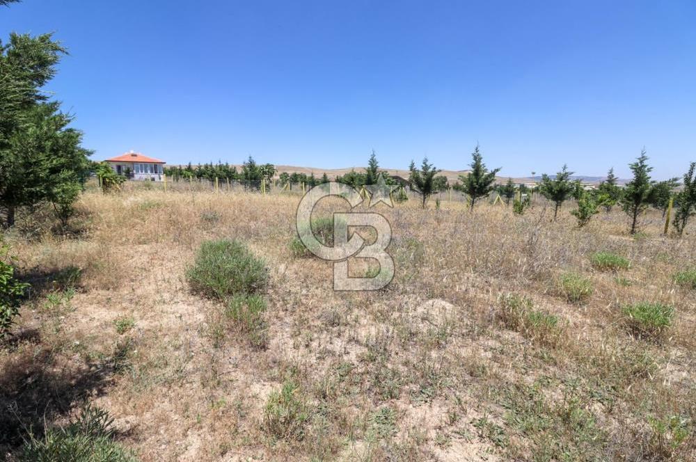 GÖLBAŞI TEPEYURT MAHALLESİ 500 M2 SATILIK HOBİ BAHÇESİ