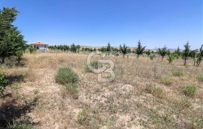 GÖLBAŞI TEPEYURT MAHALLESİ 500 M2 SATILIK HOBİ BAHÇESİ