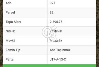 Balıkesir Ayvalık Namık Kemal Mah Satılık Zeytinlik
