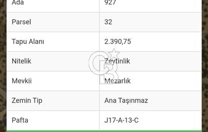 Balıkesir Ayvalık Namık Kemal Mah Satılık Zeytinlik
