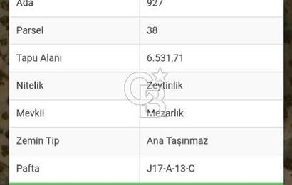 BalıkesirAyvalık Namık Kemal Mah