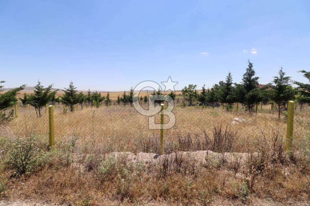 GÖLBAŞI TEPEYURT MAHALLESİ 500 M2 SATILIK HOBİ BAHÇESİ