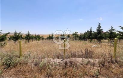 GÖLBAŞI TEPEYURT MAHALLESİ 500 M2 SATILIK HOBİ BAHÇESİ
