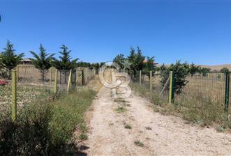 GÖLBAŞI TEPEYURT MAHALLESİ 500 M2 SATILIK HOBİ BAHÇESİ