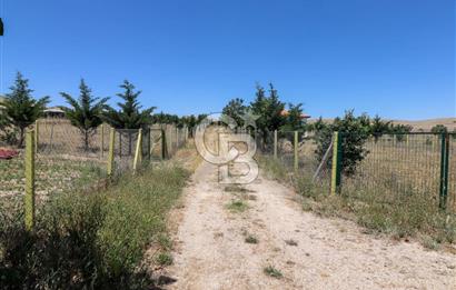 GÖLBAŞI TEPEYURT MAHALLESİ 500 M2 SATILIK HOBİ BAHÇESİ