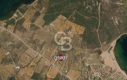 Balıkesir Ayvalık Namık Kemal Mah Satılık Zeytinlik