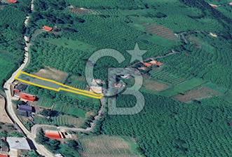 MAÇKA ORTAKÖY'DE 2 CEPHE YOLU OLAN SATILIK ARAZİ