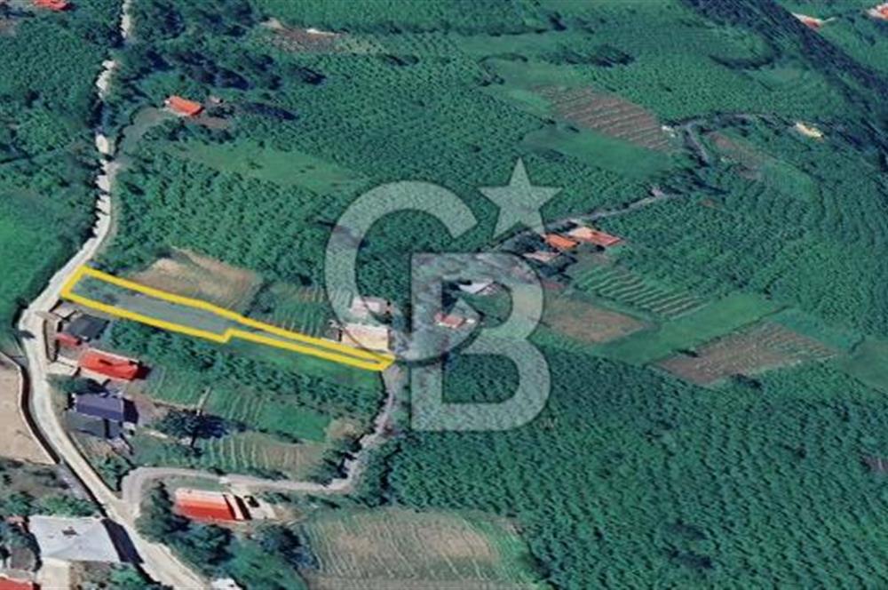 MAÇKA ORTAKÖY'DE 2 CEPHE YOLU OLAN SATILIK ARAZİ