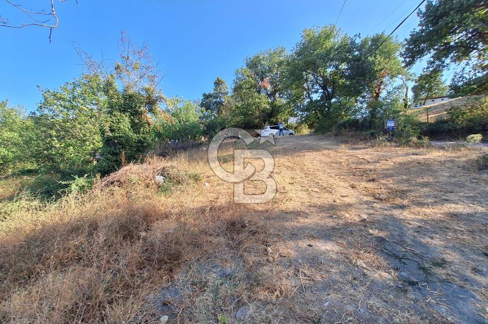 Yalova Çiftlikköy Lalederede Köyiçi İmarlı Arsa - 577 M²