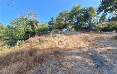 Yalova Çiftlikköy Lalederede Köyiçi İmarlı Arsa - 577 M²
