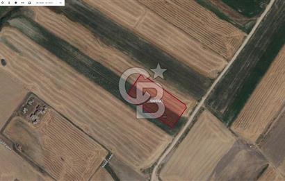 SİNCAN TEMELLİ MALIKÖY TEK TAPU SATILIK ARSA