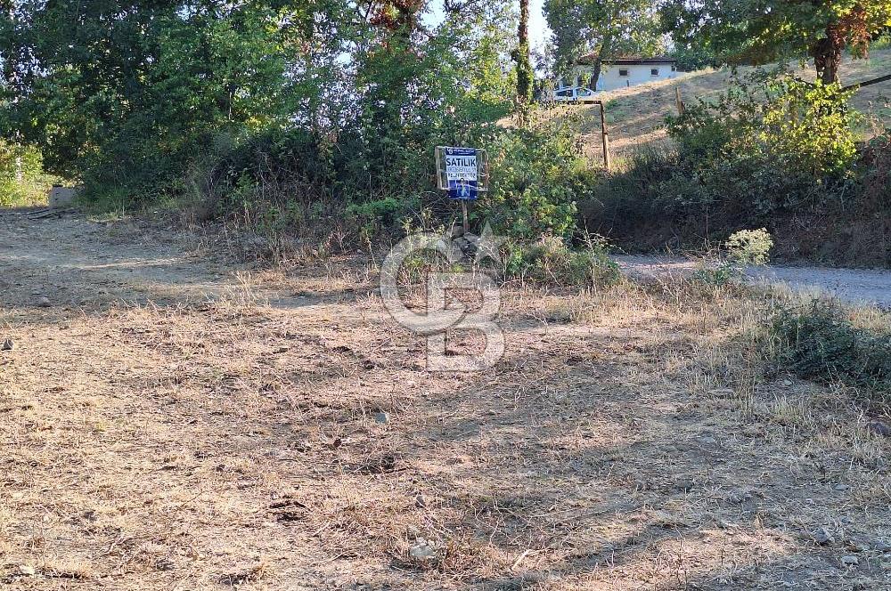 Yalova Çiftlikköy Lalederede Köyiçi İmarlı Arsa - 577 M²