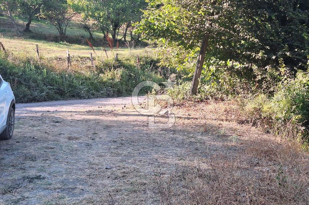 Yalova Çiftlikköy Lalederede Köyiçi İmarlı Arsa - 577 M²