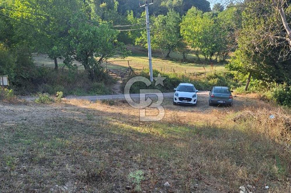 Yalova Çiftlikköy Lalederede Köyiçi İmarlı Arsa - 577 M²